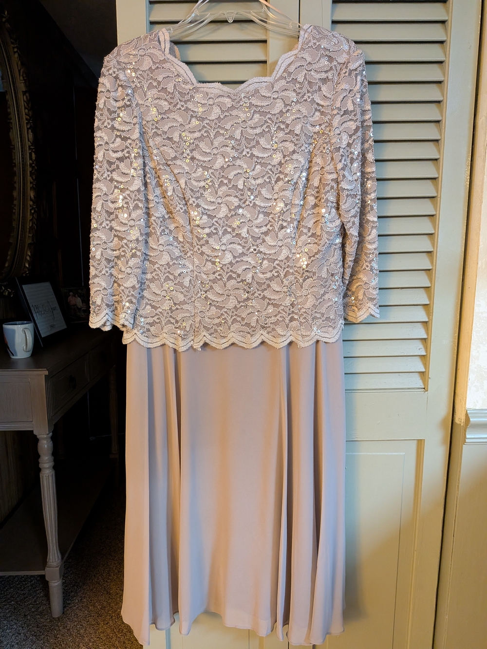 Alex Evenings Sequin Lace Petite Evening Dress